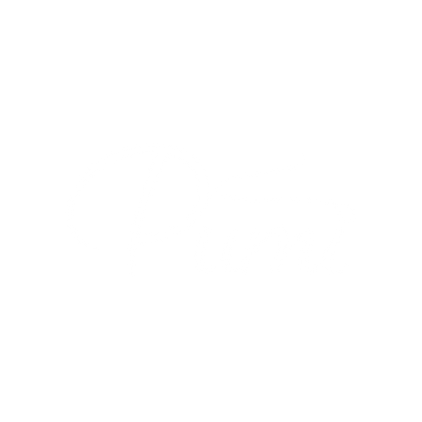 Pumi